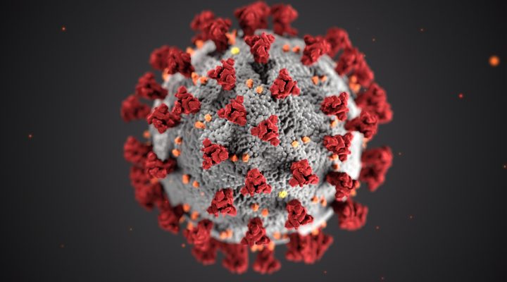 virus